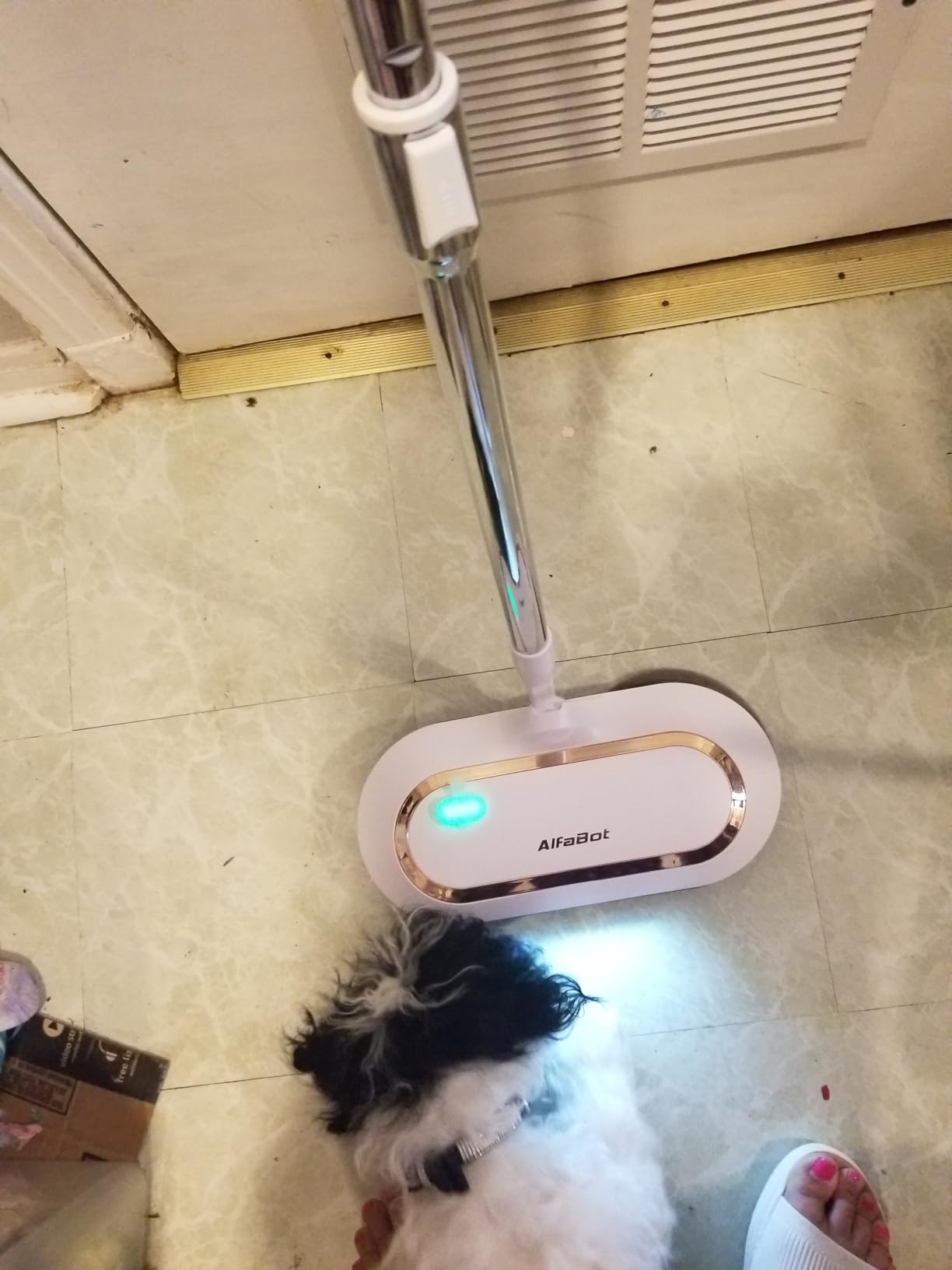 AlfaBot Customer Review 3